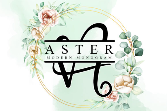 Aster: The Elegant Decorative Font That Elevates Your Design