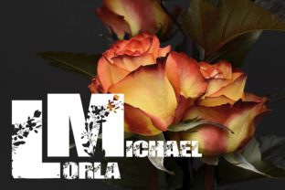 Lorla Michael: A Strategic Tool for Romantic and Professional Design