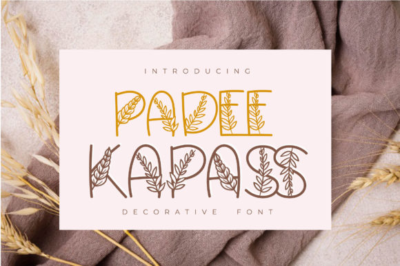 Padee Kapass Font for Creative Projects